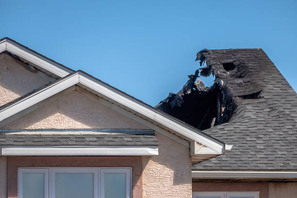 Top rated local Firefighting Water Removal specialists in New Market, MD